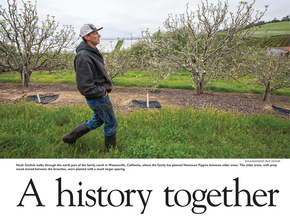 Pages: Watsonville Apple Farmers